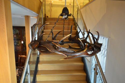 An Unusual Edwardian Period 8 Antler Chandelier/light Fitting