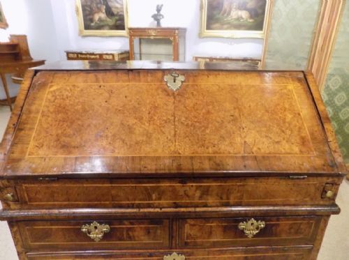 fig 1. A Fine walnut and burr oak George I Period antique bureau.