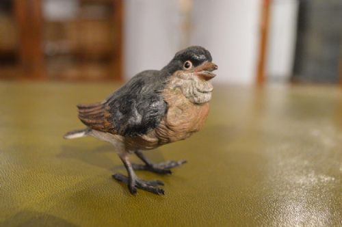 A Small Austrian Cold Painted Bronze Sparrow