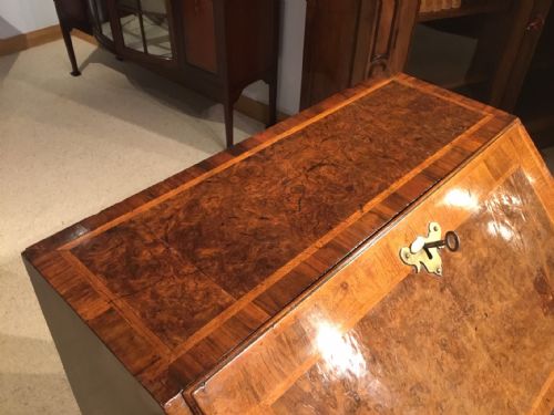 fig 1. A small burr walnut herring bone banded 18th Century bureau.