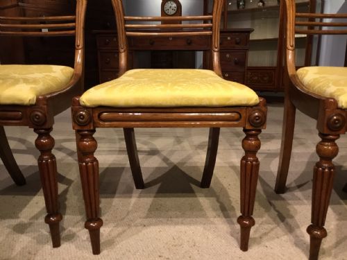 fig 1. A set of 6 rosewood William IV Period antique dining chairs