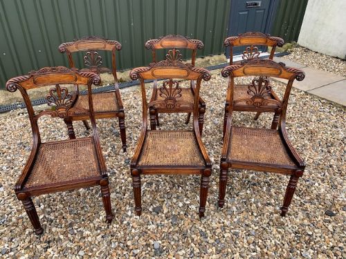 A Fine Set of Six Regency Rosewood Dining Chairs Circa 1820