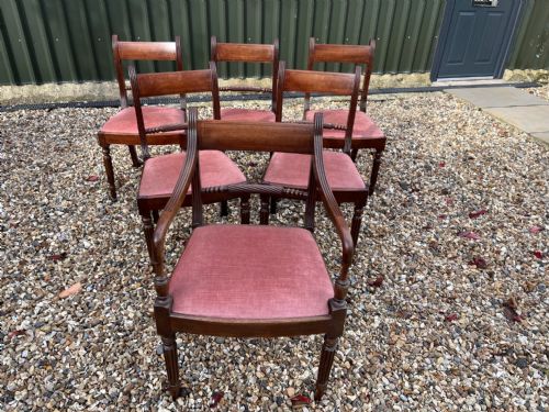 A Good Set of Six Regency Period Mahogany Dining Chairs Including One Carver Chair