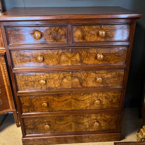 A Victorian Period Burr Walnut Antique Chest of Drawers.