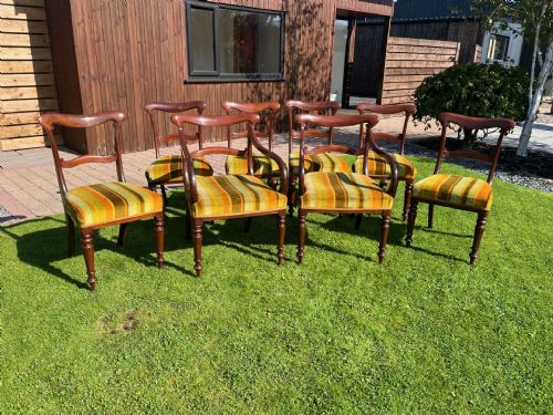 A Fine Quality Set of 8 William IV Period Mahogany Dining Chairs.