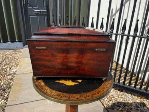 A FINE QUALITY REGENCY PERIOD MAHOGANY AND EBONY TEA CADDY - ADDITIONAL PHOTO 3