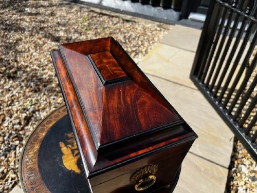 A FINE QUALITY REGENCY PERIOD MAHOGANY AND EBONY TEA CADDY - ADDITIONAL PHOTO 10