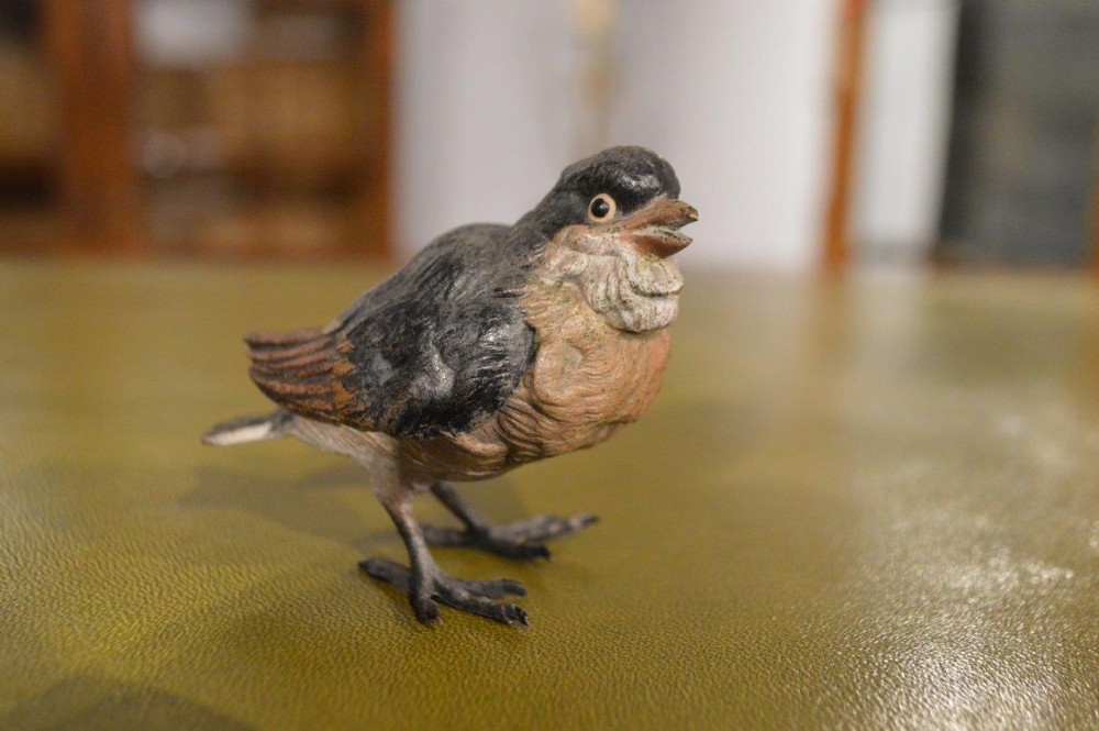 A small Austrian cold painted bronze sparrow 