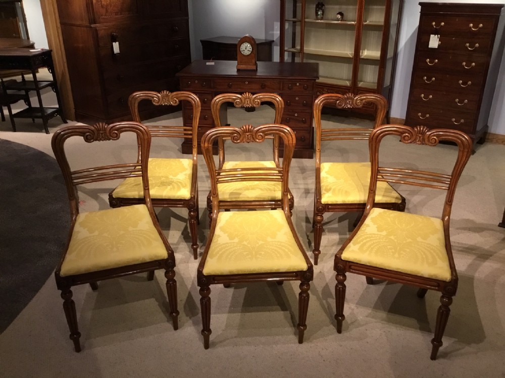 A set of 6 rosewood William IV Period antique dining chairs