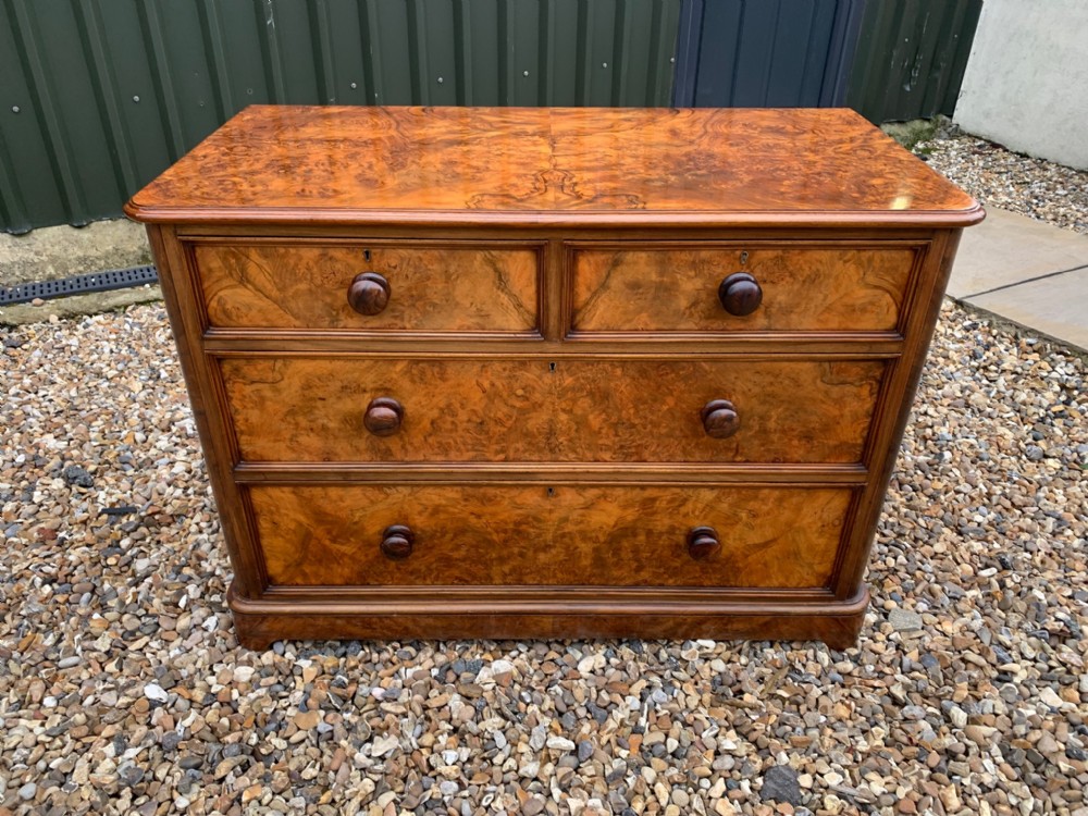 A Victorian Period burr walnut antique chest of drawers.