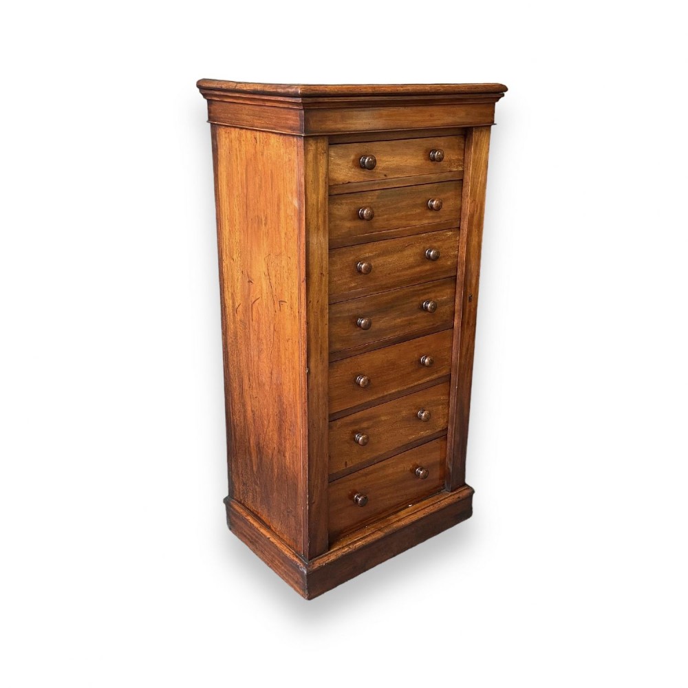 A Victorian Period mahogany wellington chest