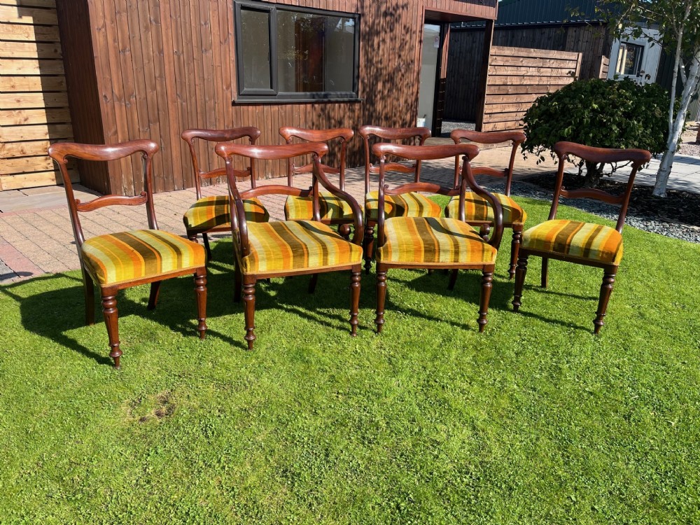 A fine quality set of 8 William IV Period mahogany dining chairs.