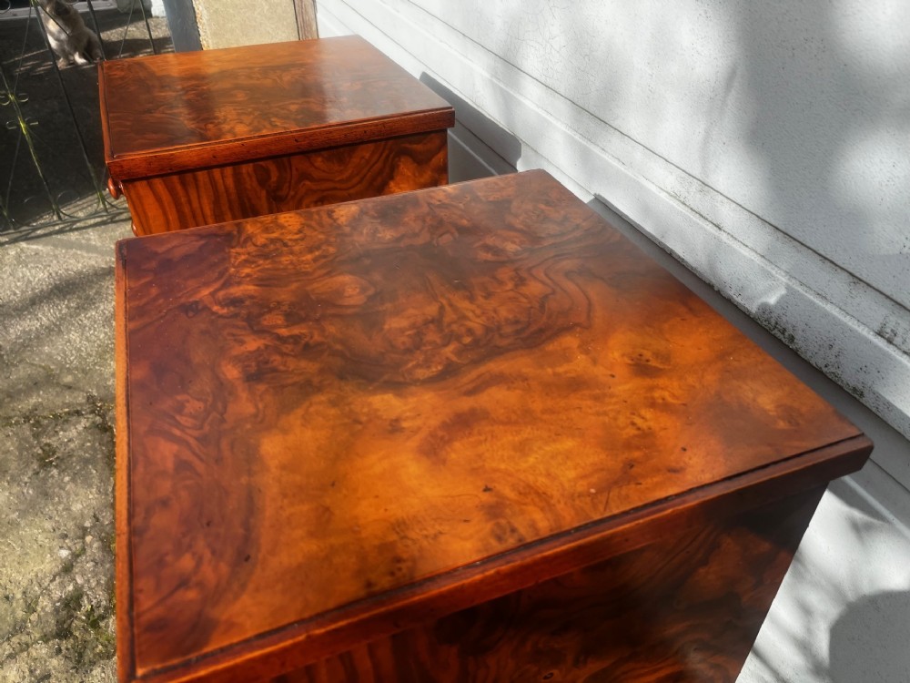 A Good pair Of Victorian Period Burr Walnut Bedside Chests. View III