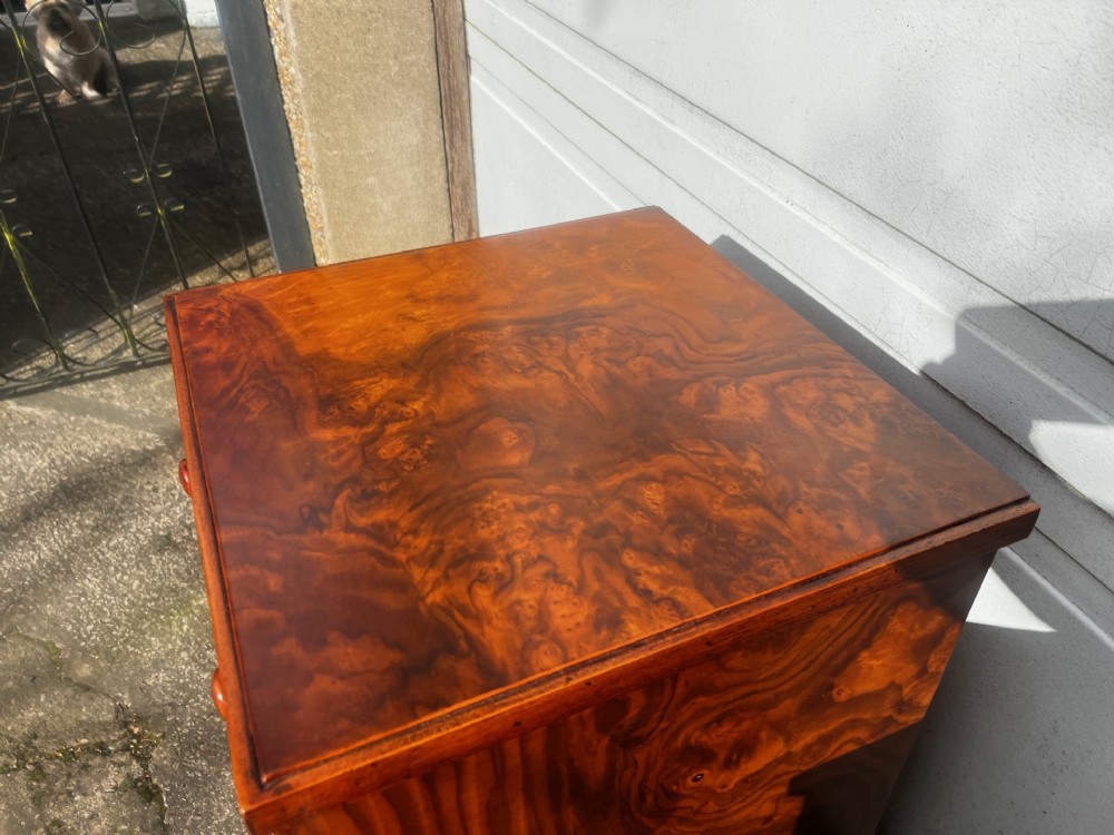 A Good pair Of Victorian Period Burr Walnut Bedside Chests. View IV