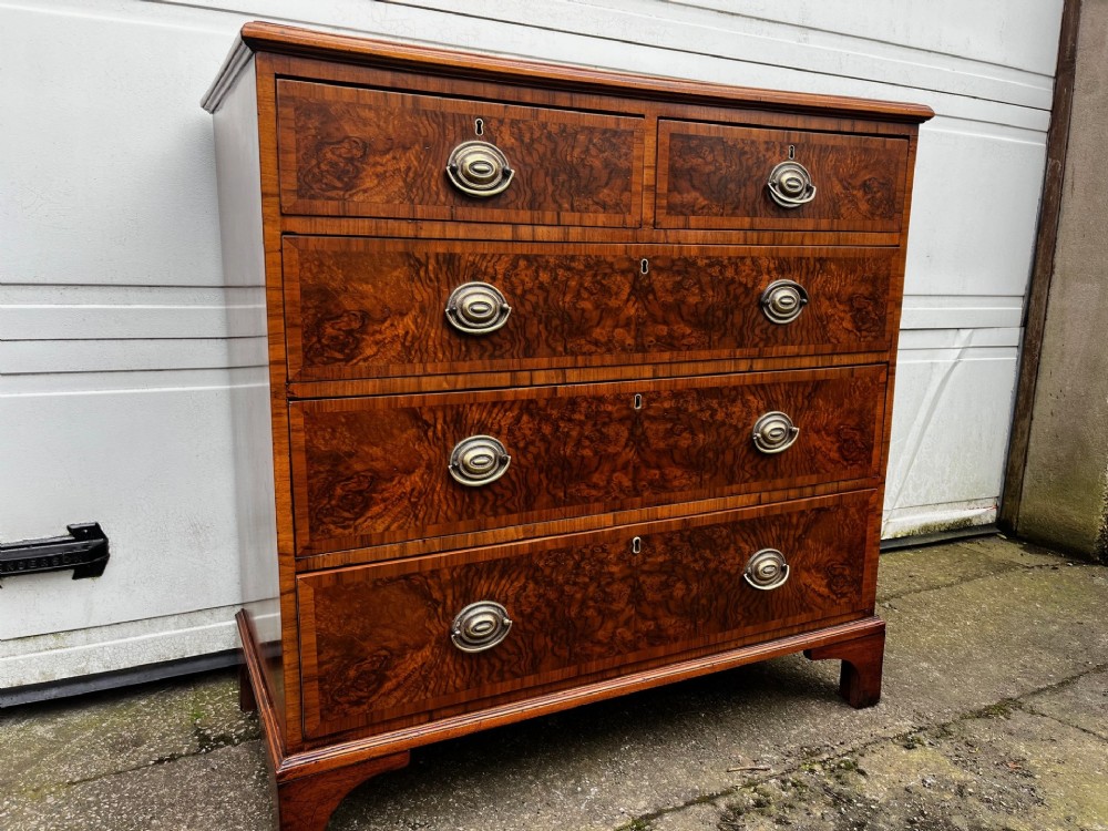 A 19th-century burr walnut veneered chest of drawers featuring two short over three long drawers with brass drop handles and bracket feet.