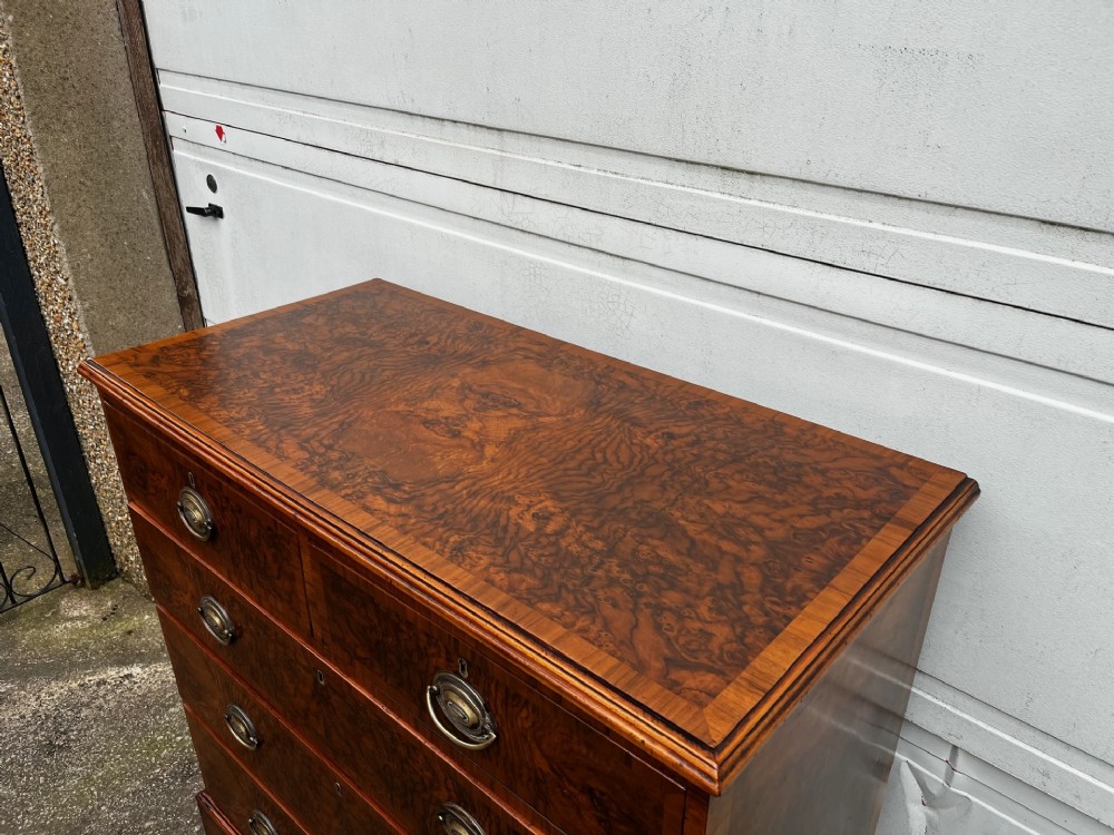 A 19th-century burr walnut veneered chest of drawers featuring two short over three long drawers with brass drop handles and bracket feet. View II