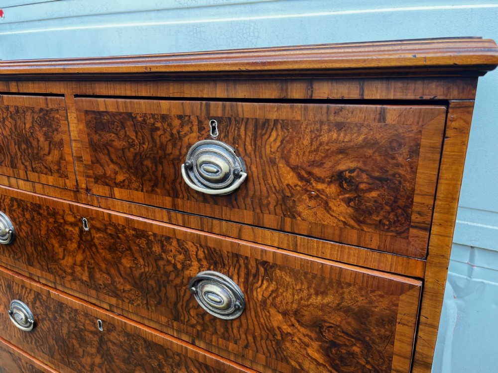 A 19th-century burr walnut veneered chest of drawers featuring two short over three long drawers with brass drop handles and bracket feet. View V