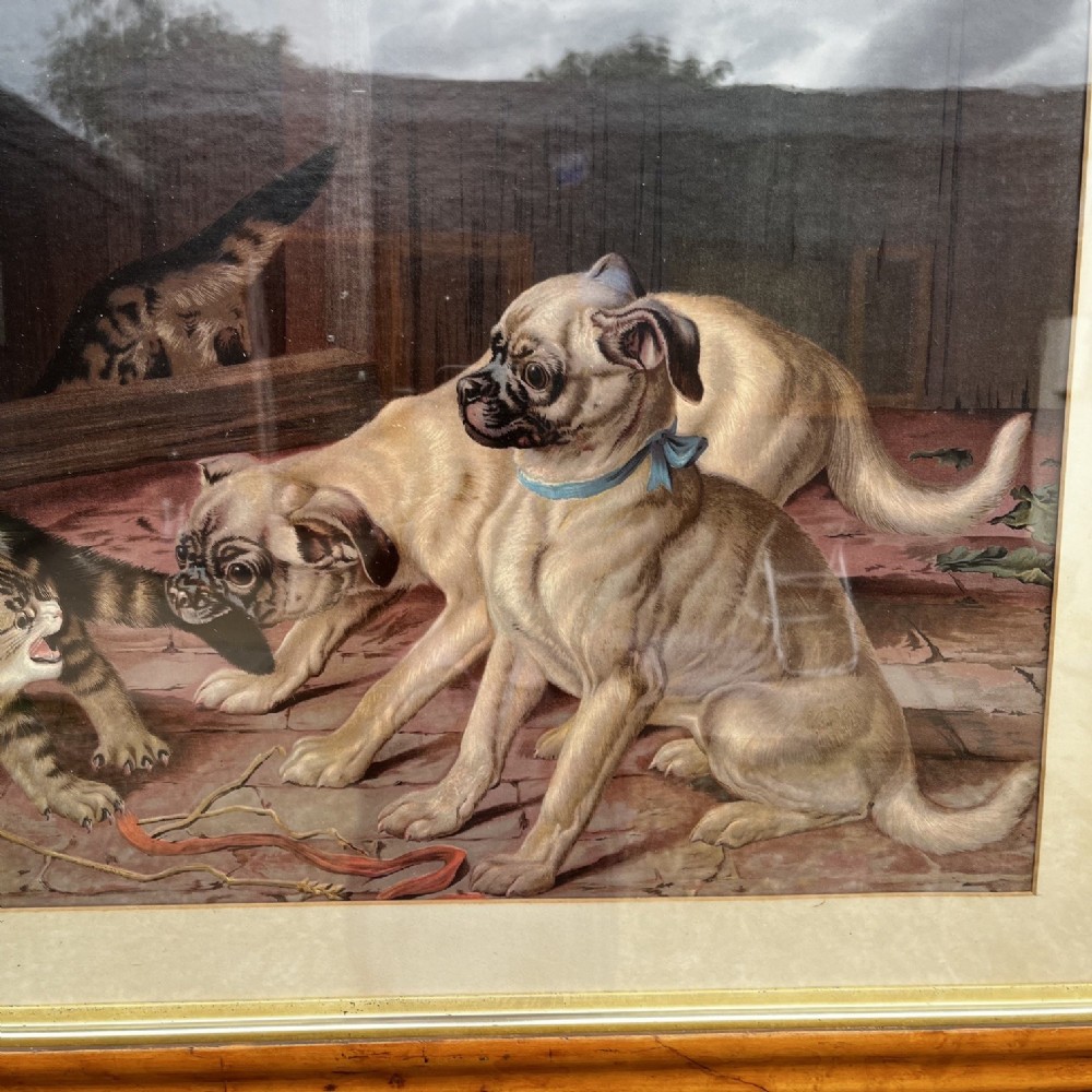 A framed 19th-century chromolithograph print depicting two pugs and two cats in an interior setting, housed in a polished wood frame. View II