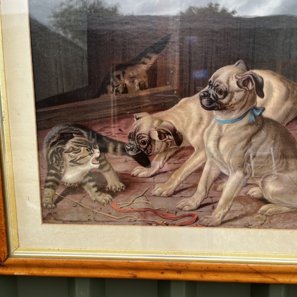 A framed 19th-century chromolithograph print depicting two pugs and two cats in an interior setting, housed in a polished wood frame. View III