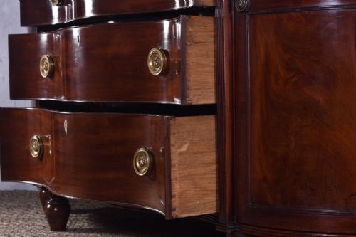 A GEORGE IV MAHOGANY SERPENTINE SIDE CABINET - ADDITIONAL PHOTO 5