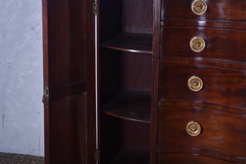 A GEORGE IV MAHOGANY SERPENTINE SIDE CABINET - ADDITIONAL PHOTO 10