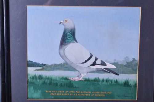 PAIR OF RACING PIGEON WATERCOLOURS - ADDITIONAL PHOTO 2