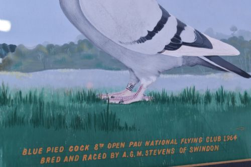 PAIR OF RACING PIGEON WATERCOLOURS - ADDITIONAL PHOTO 5