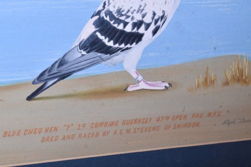 PAIR OF RACING PIGEON WATERCOLOURS - ADDITIONAL PHOTO 6