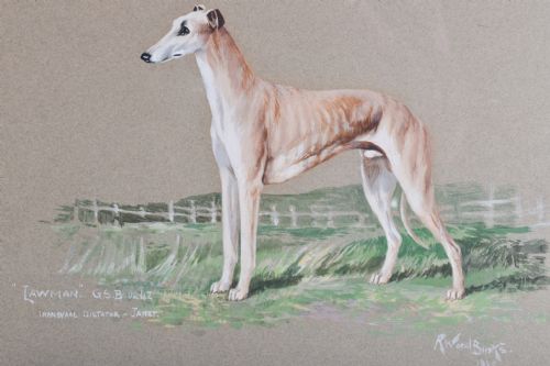 REUBEN WARD BINKS WATERCOLOUR OF SANDY GREYHOUND - ADDITIONAL PHOTO 1