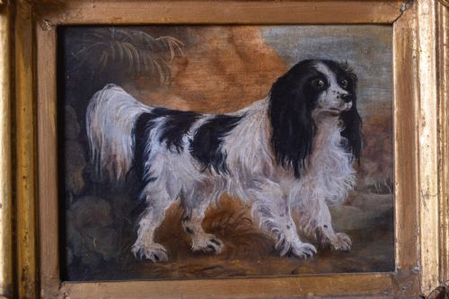 OIL ON CANVAS PAINTING ENGLISH SPRINGER SPANIEL IN A LANDSCAPE - ADDITIONAL PHOTO 1