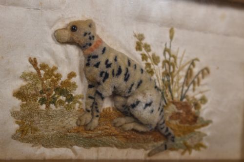 RARE LEOPARD SAMPLER - ADDITIONAL PHOTO 1