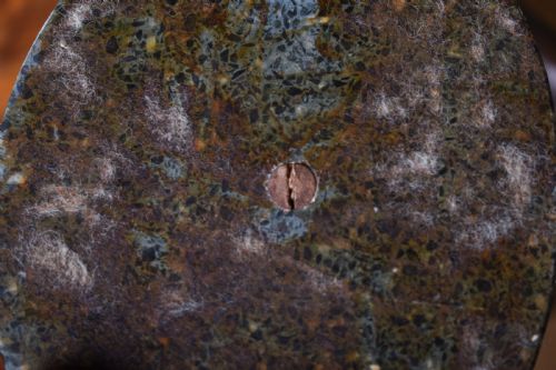 BRONZE RELIEF OF HENRY IV OF FRANCE - ADDITIONAL PHOTO 2