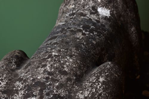 LARGE MARBLE SCULPTURE OF A LIONESS - ADDITIONAL PHOTO 6