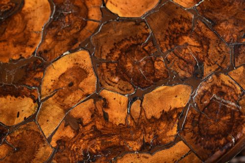 GRAPE VINE SCULPTURAL TABLE - ADDITIONAL PHOTO 4