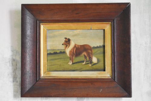 naive portrait of a border collie - CATEGORY: ANTIQUE ART - DATED 1900
