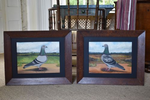 fig 1. A pair of framed oil paintings on board depicting individual racing pigeons in profile set against rural landscape backgrounds.