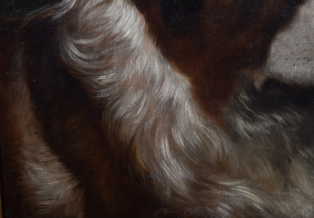 St Bernard Oil On Canvas  View VI