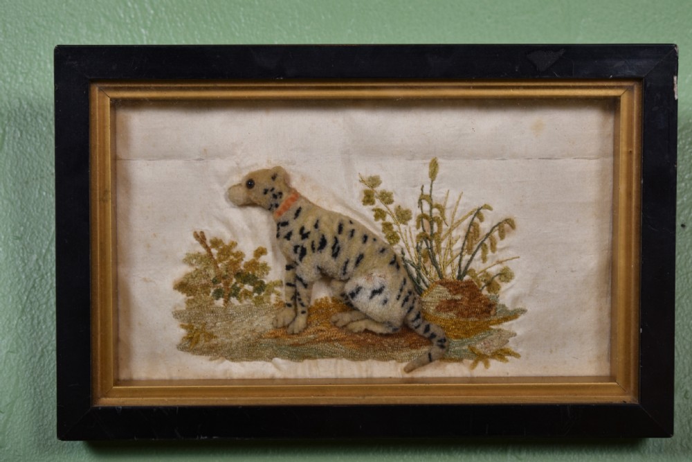 Rare Leopard Sampler 