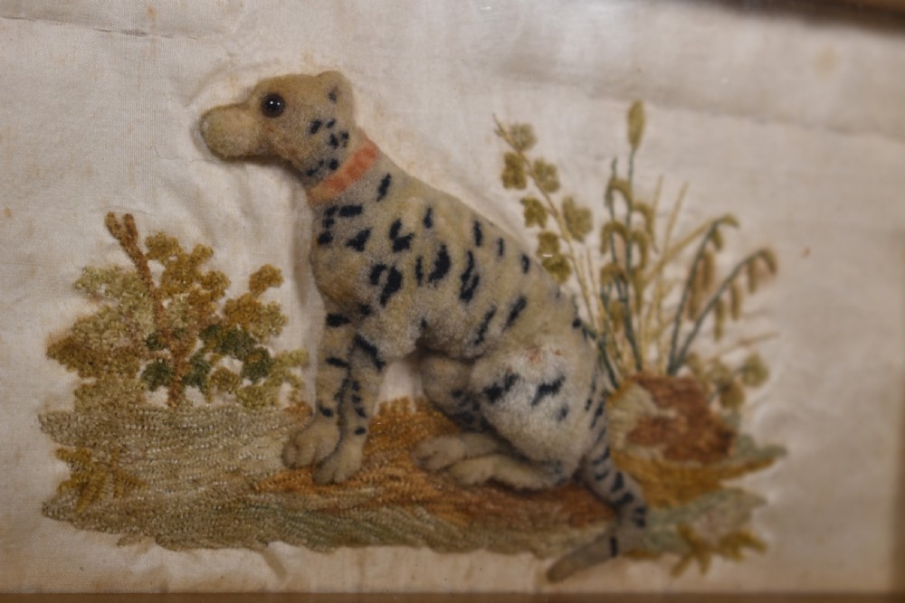 Rare Leopard Sampler  View II