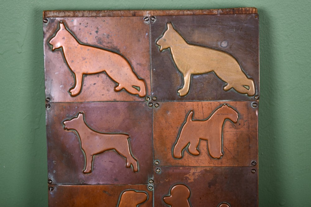 Dog Sample Board View III