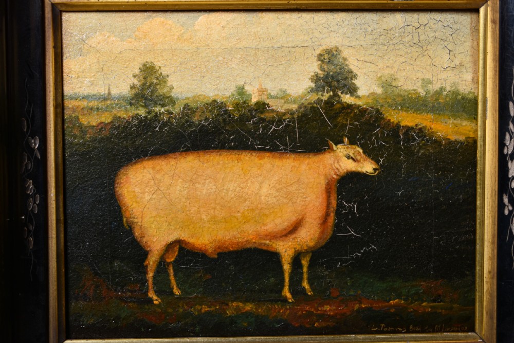 Naive Painting Of A Sheep  View II