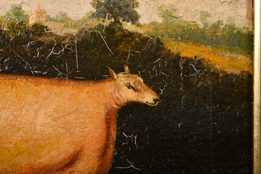Naive Painting Of A Sheep  View V