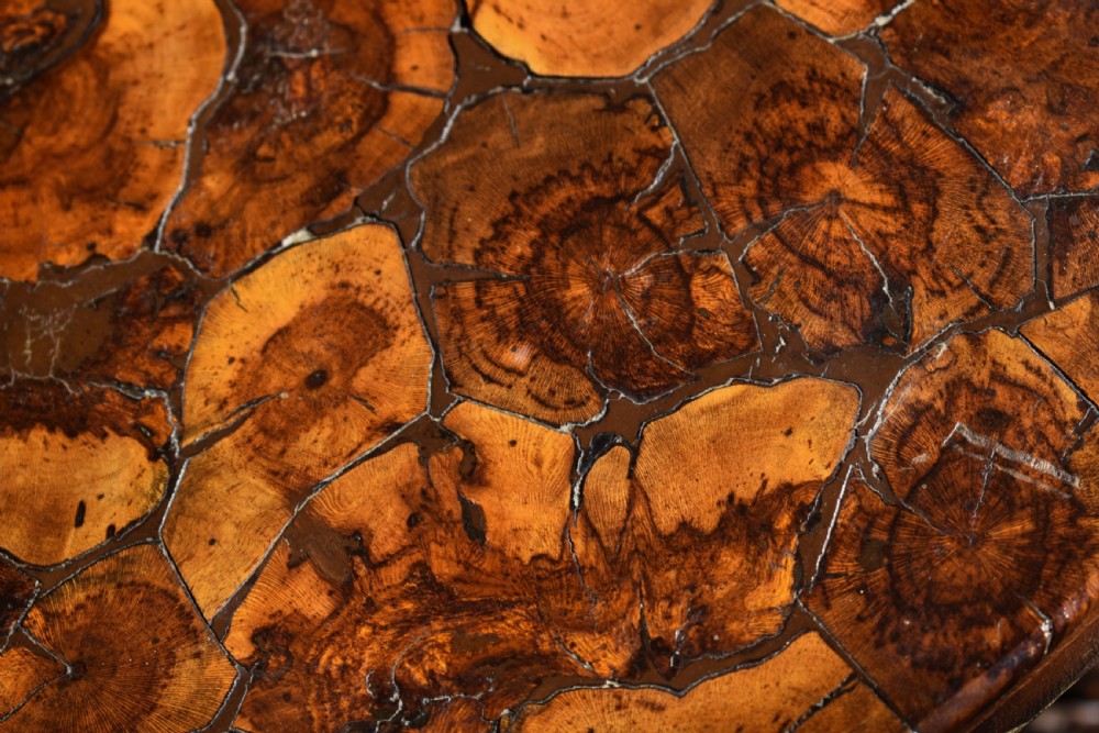 A circular dark wood side table supported by three gnarled and twisted natural grapevine legs. View V