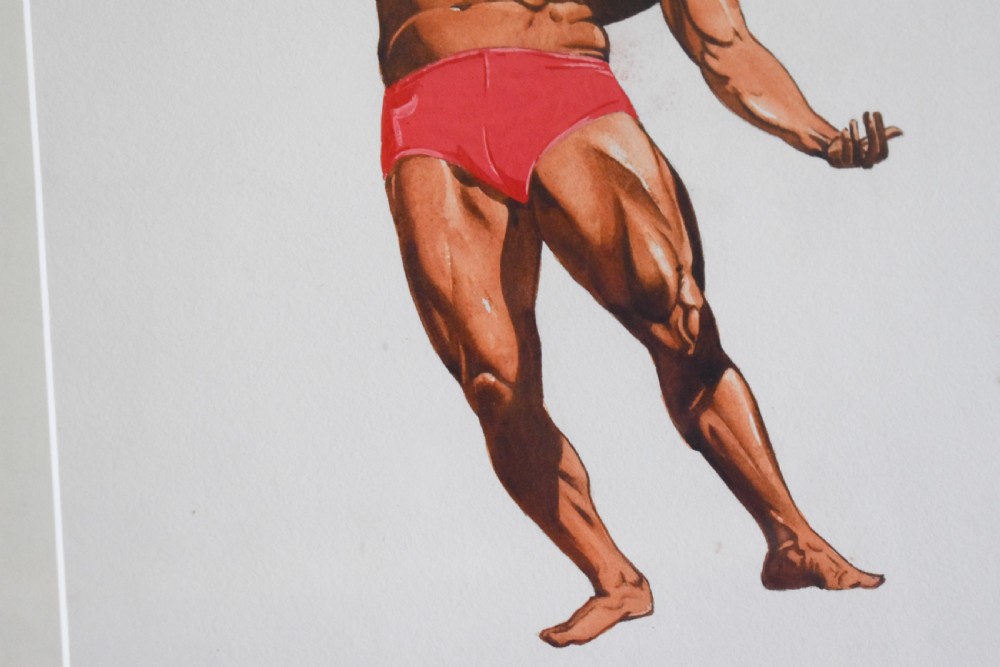 A framed watercolour cartoon depicting a bodybuilder in red trunks flexing his muscles with a caricatured male head. View IV