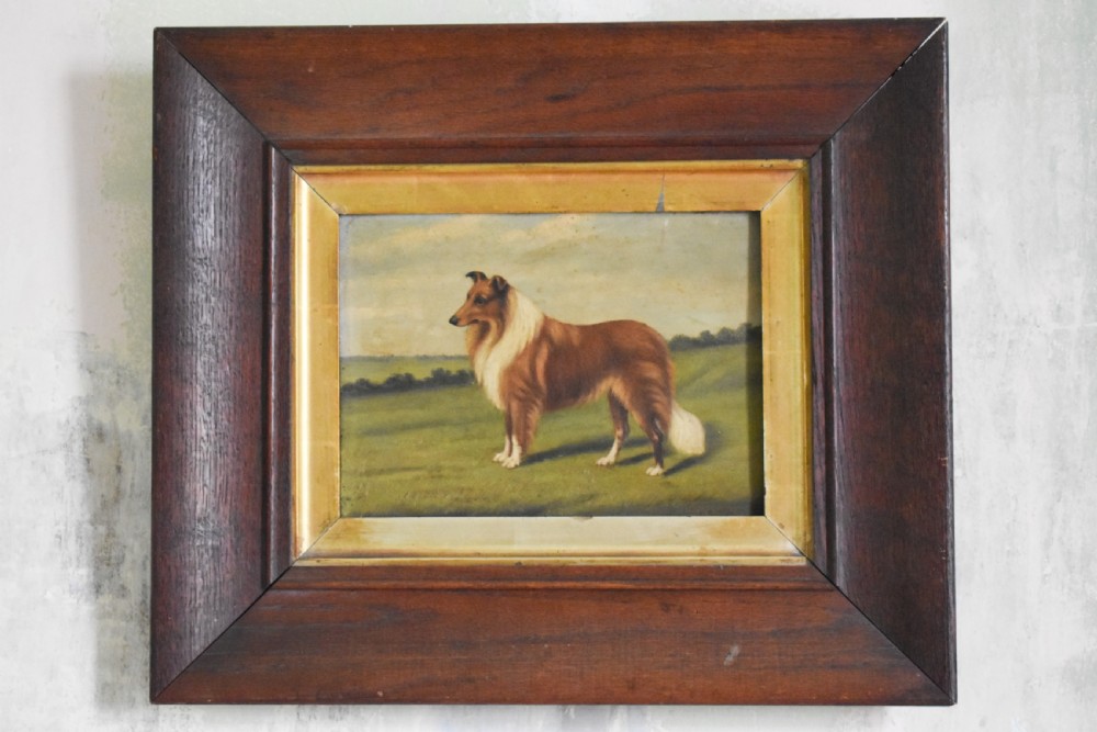 Naive Portrait Of A Border Collie