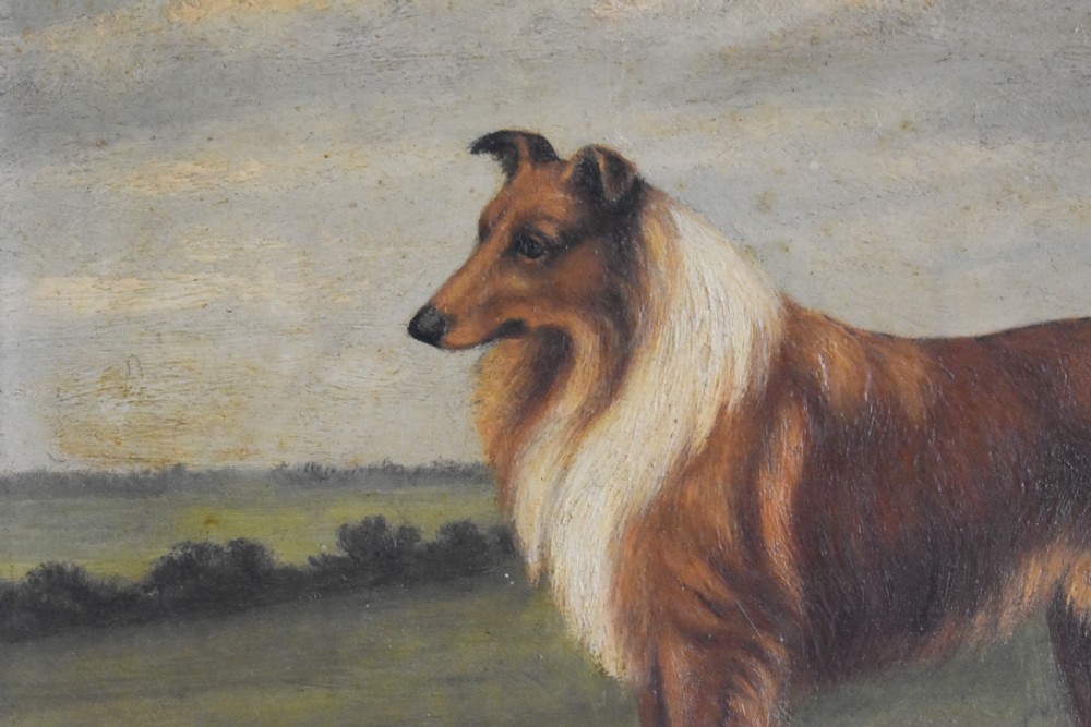 Naive Portrait Of A Border Collie View IV