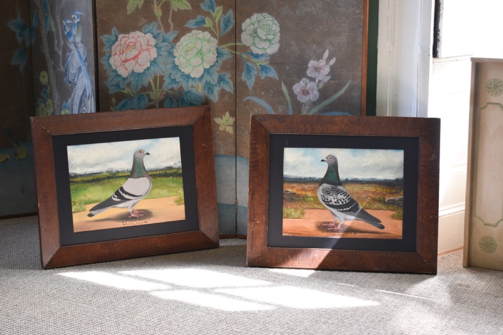 A pair of framed oil paintings on board depicting individual racing pigeons in profile set against rural landscape backgrounds.