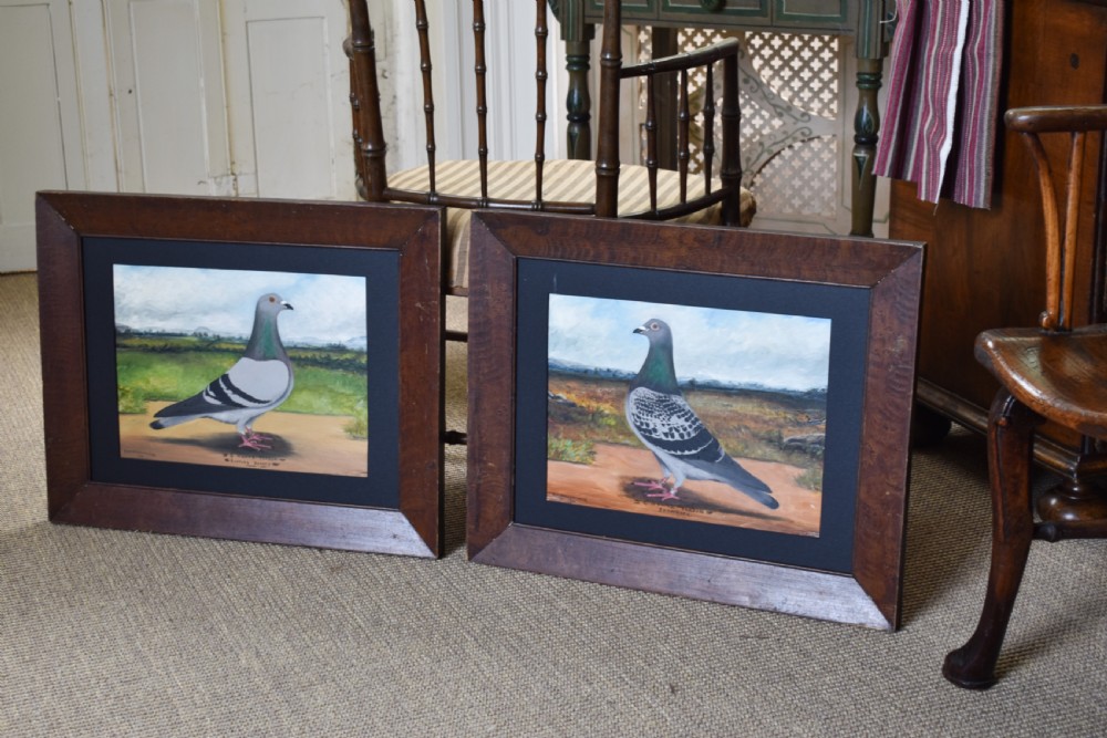 A pair of framed oil paintings on board depicting individual racing pigeons in profile set against rural landscape backgrounds. View V