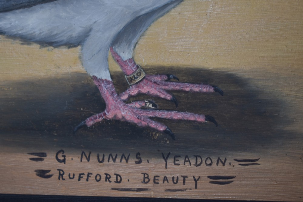 A pair of framed oil paintings on board depicting individual racing pigeons in profile set against rural landscape backgrounds. View VII