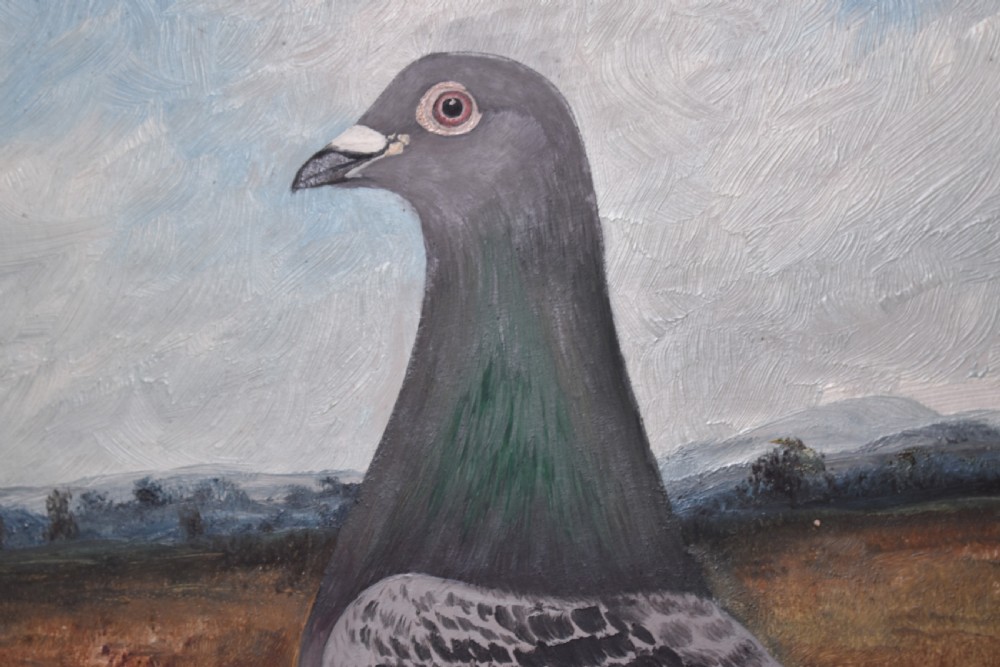 A pair of framed oil paintings on board depicting individual racing pigeons in profile set against rural landscape backgrounds. View VIII